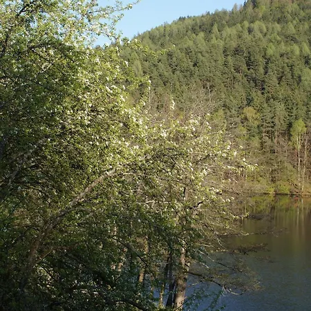 Landgasthof Trattnig 3*