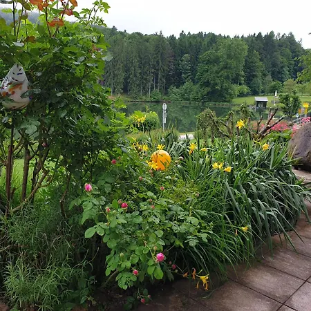 Gasthof Landgasthof Trattnig 3*