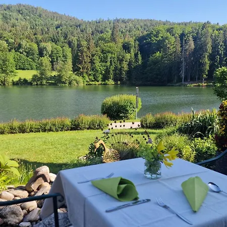 Konukevi Landgasthof Trattnig 4*